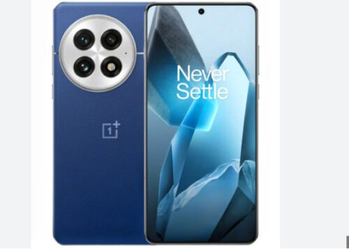 OnePlus 13